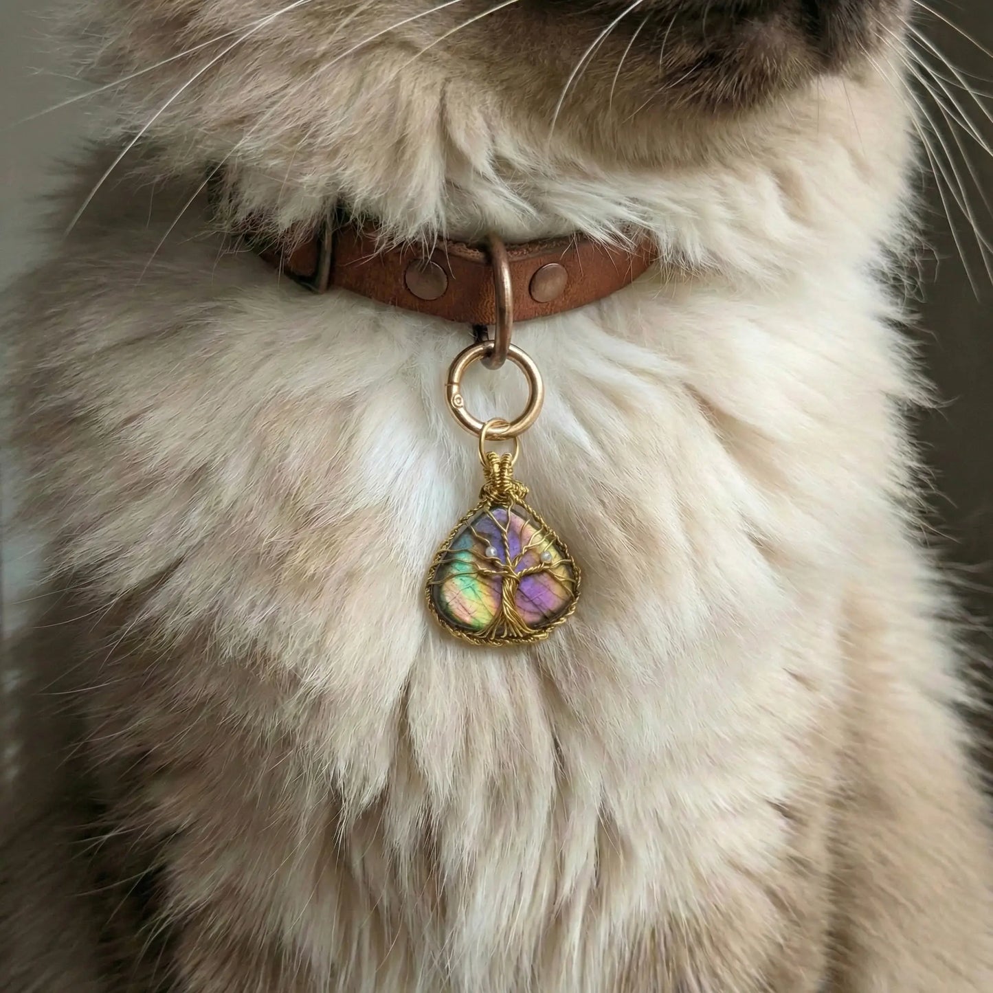 The Masterpiece | Labradorite "Deep-Roots" Set